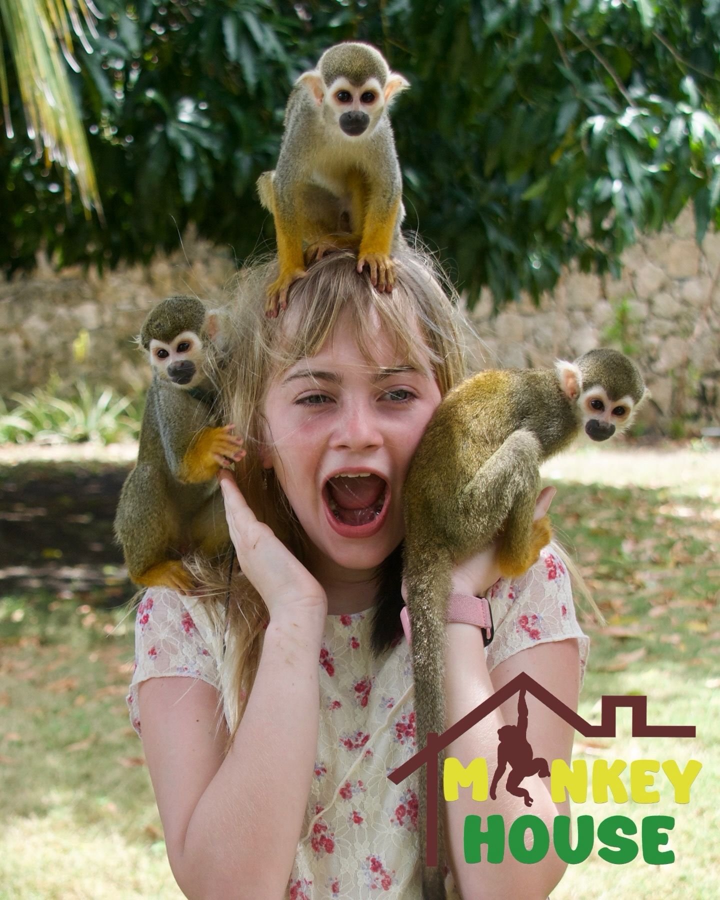 official Monkey House VIP Punta Cana tour